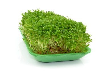 Bahçe Beyaz arka plan üzerinde izole cress