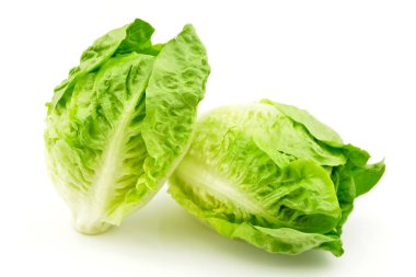 Beyaz arka plan üzerinde izole marul