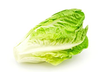 Beyaz arka plan üzerinde izole marul