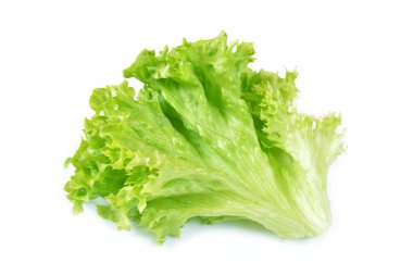 Beyaz arkaplanda marul izole