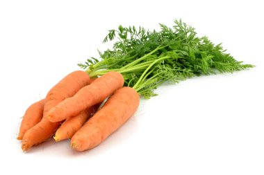 Beyaz arka planda havuç