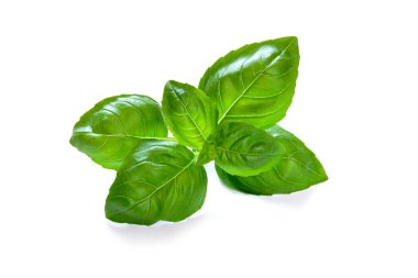 Beyaz arkaplanda fesleğen yaprağı