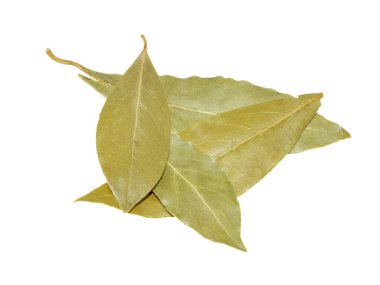 Körfez yaprakları beyaz arkaplanda izole