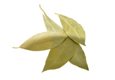 Körfez yaprakları beyaz arkaplanda izole