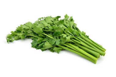 beyaz zemin üzerine kereviz yaprağı