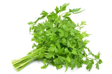 Maydanoz yaprakları beyaz arkaplanda yalıtılmış