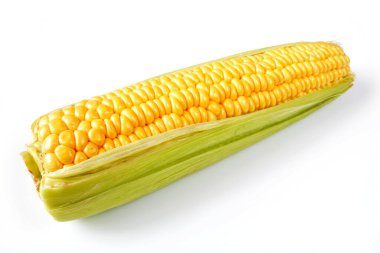 Beyaz arkaplanda mısır