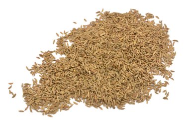 cumin on a white background