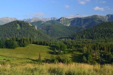 Yazın Tatra Dağları - Polonya