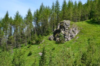 Yazın Tatra Dağları - Polonya