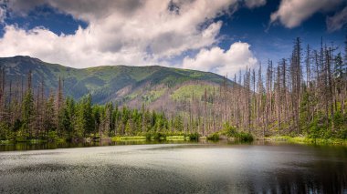 Tatra Dağları - Smreczyski Göleti