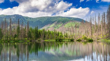 Tatra Dağları - Smreczyski Göleti