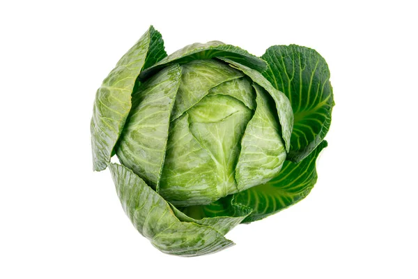 Cabbage White Background — Stock Photo, Image
