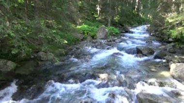 Polonya 'daki Tatra Dağları' ndaki dağ deresi