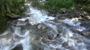 Polonya 'daki Tatra Dağları' ndaki dağ deresi