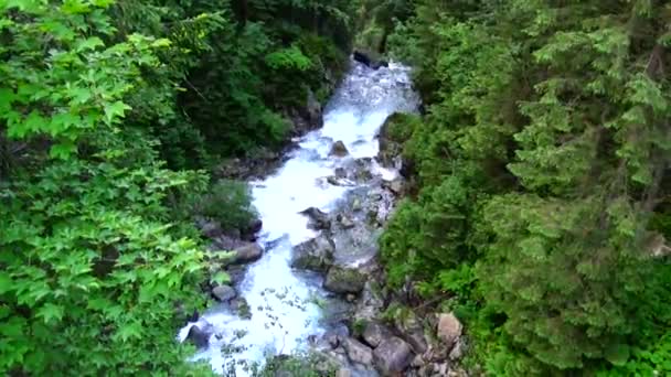 Mountain Stream Tatra Mountains Poland — Stock Video