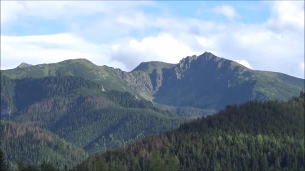 Montanhas Tatra Verão Polônia — Vídeo de Stock