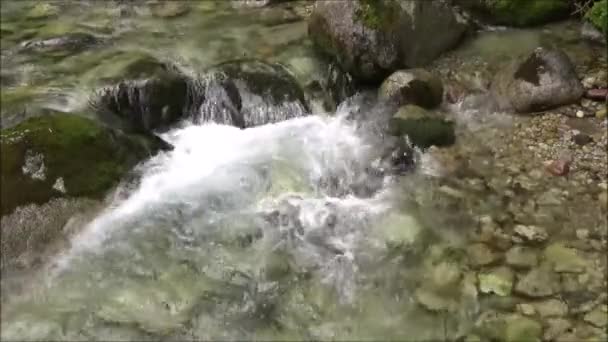 Górski Potok Tatrach — Wideo stockowe