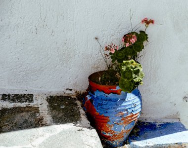 Geleneksel beyaz boyalı ev arazisi taş merdivenlerde ot bitkisi, Yunan caddeleri