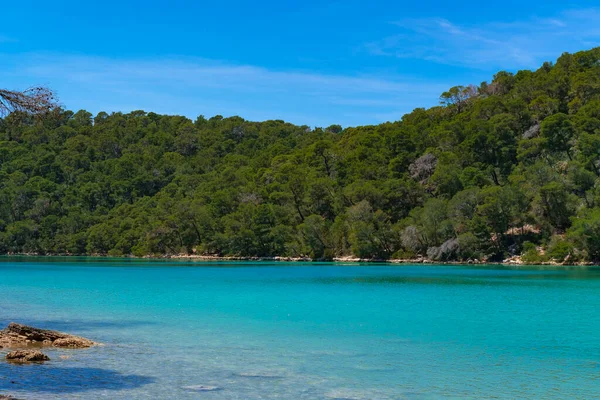 Маленькое Озеро Лесу Природный Удивительный Остров Млет Национальный Парк Мало — стоковое фото