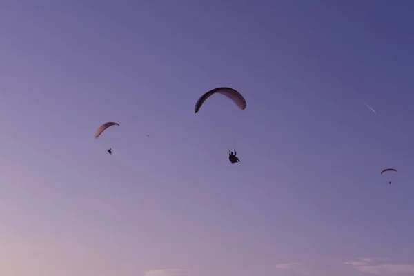 Skärmflygning Piloter Svävar Flyger Skymningen Himlen Lila Blå Rosa Solnedgång — Stockfoto