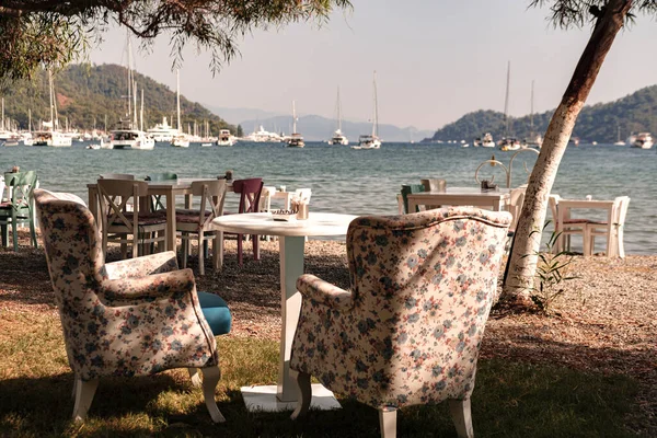 Deniz kenarındaki kafe veya restoranda, tavernada, arka planda yat marinasında, deniz kıyısında, yaz gününde ağaç barınağının altında rahat sandalyeler.