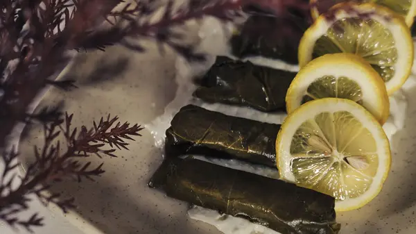 stock image stuffed vine leaves  called dolmades or dolma, sarma of turkish and greek traditional kitchen, served on white porcelen plate with youghurt, lemon and greens