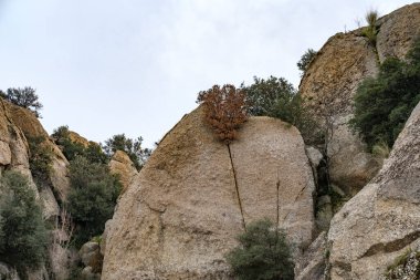 Mugla 'daki Bafa Gölü çevresinde inanılmaz volkanik kaya oluşumları, hindi