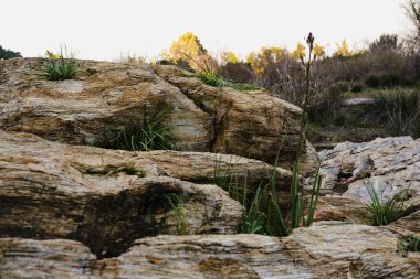 Dalyan hindisinde termal kaplıcalarda kayaların güzel dokusu