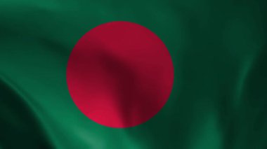 Havada dalgalanan Bangladeş bayrağı