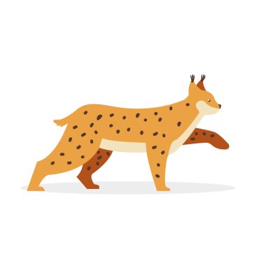 Luchs ön pençesini kaldırdı