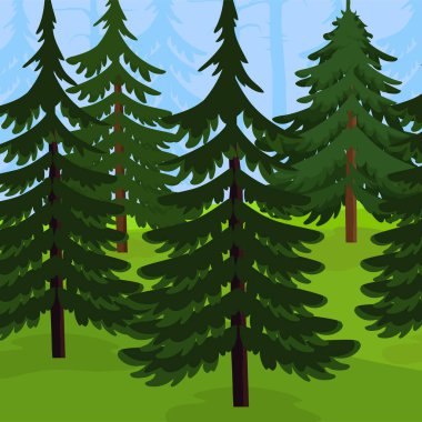 Kozalaklı orman ve yeşil otlar.