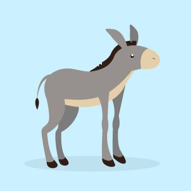 Eşek patilerinin üzerinde durur ve yukarı bakar.