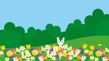 Tavşan çiçeklerle çimenlerde oturur.