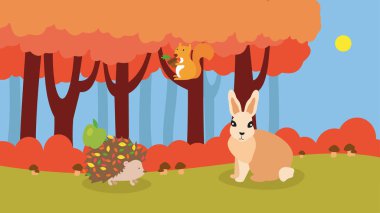 Kirpi ve tavşan sonbahar ormanında