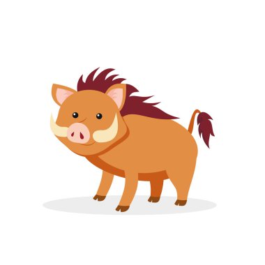 Beyaz arka planda yaban domuzu