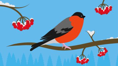 Şirin bir çizgi film kuşunun vektör çizimi