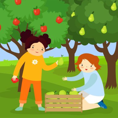 Kız ve oğlan bahçede bir kutuda elma topluyor.