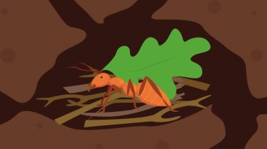 Dallarda ve yapraklarda bir karınca yuvasında beyaz karınca termitleri.