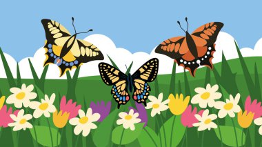 Çayır çiziminde kelebekler