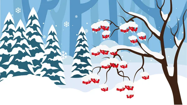 Berries Rowan Spruce Snow Winter Forest — Image vectorielle