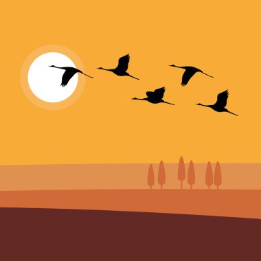 Gökyüzünde uçan kuş siluetlerinin vektör çizimi
