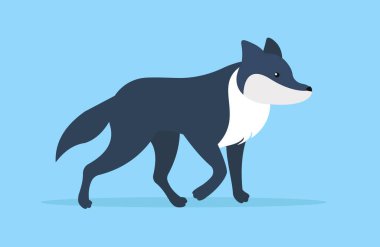 vector illustration of cute wolf