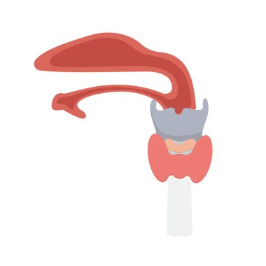 Sevimli mantar ikonu. vektör illüstrasyonu