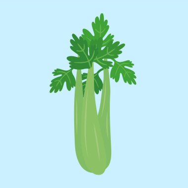 celery icon vector template illustration graphic design clipart