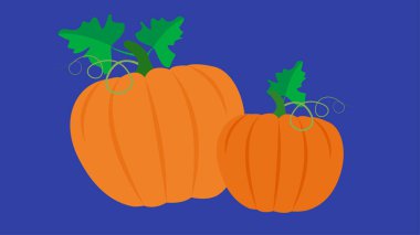 pumpkin, halloween, autumn, harvest, vector background