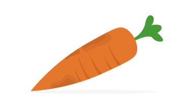 carrot icon. flat illustration of carrots vector icons isolated on white background