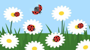 Çiçekler ve kelebeklerle dolu bir yaz.