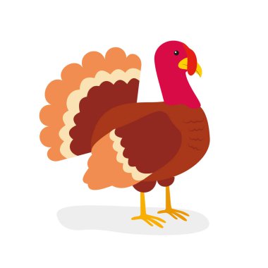 Çizgi film tavuğunun vektör çizimi