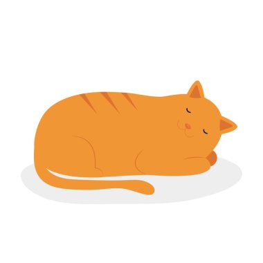 Sarı gözlü şirin bir kedi. vektör illüstrasyonu